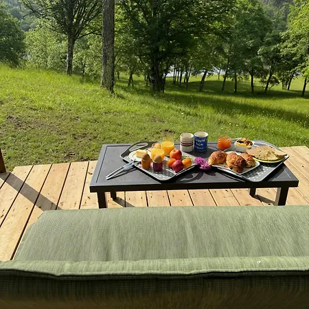 Lodge Libellule Dans Un Petit Coin De Paradis