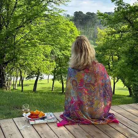 Libellule Dans Un Petit Coin De Paradis Lodge